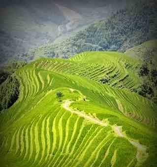 2022 桂林親子游線路推薦：龍脊梯田，自然景觀與親子互動(dòng)的完美結(jié)合