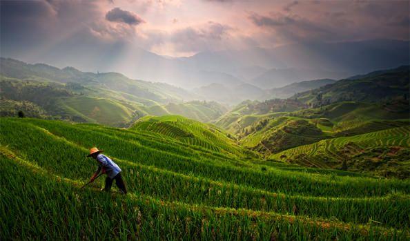 自駕游龍脊梯田車放哪里_自駕梯田游龍脊路線_龍脊梯田自駕游