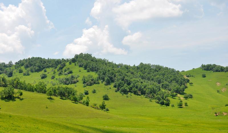 馬倫草原門票多少錢_馬倫草原自駕攻略_馬倫草原自駕游