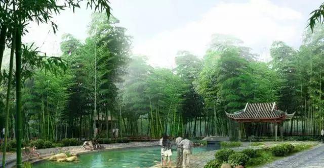 2021衢州旅游_浙江省衢州市旅游_衢州市旅游