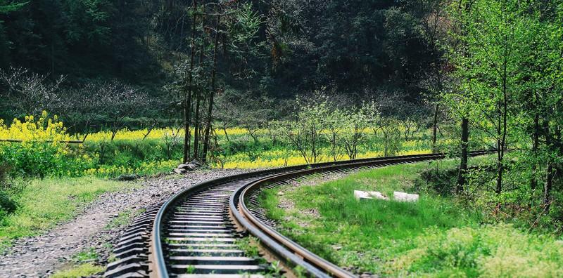 成都到廣州火車票價格查詢_成都到廣洲火車票_成都到廣州的火車票