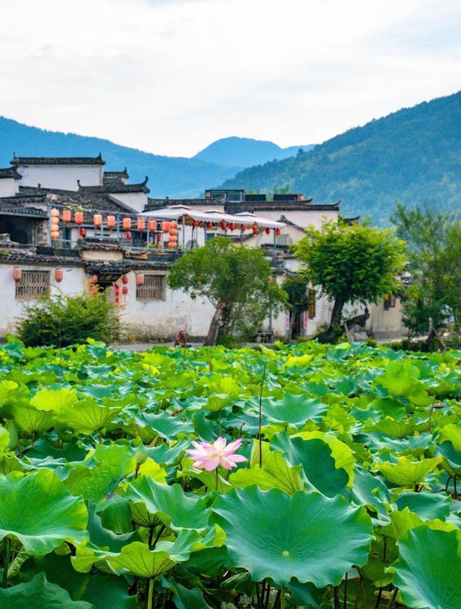 安徽旅游必到處_安徽旅游必去十大景點_安徽旅游攻略