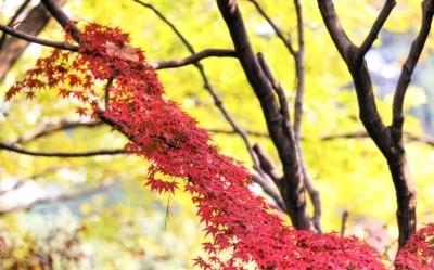 貝加爾湖適合幾月份去_貝加爾湖最佳旅游時間_貝加爾湖自駕游