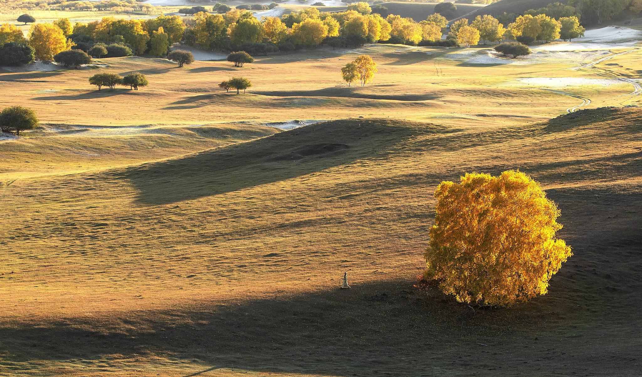 沈陽到鶴崗的火車_沈陽到鶴崗火車多長時間_鶴崗到沈陽火車