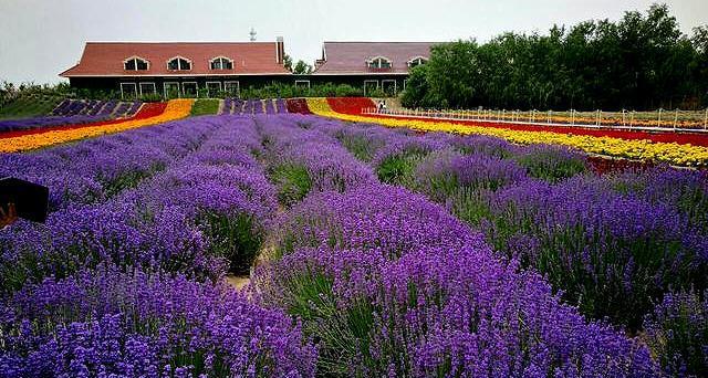 休閑生態旅游產業發展_生態休閑旅游_休閑生態旅游概念
