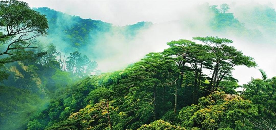 盛夏自駕之旅:追逐自然之美,領略沿海風情與山川壯麗