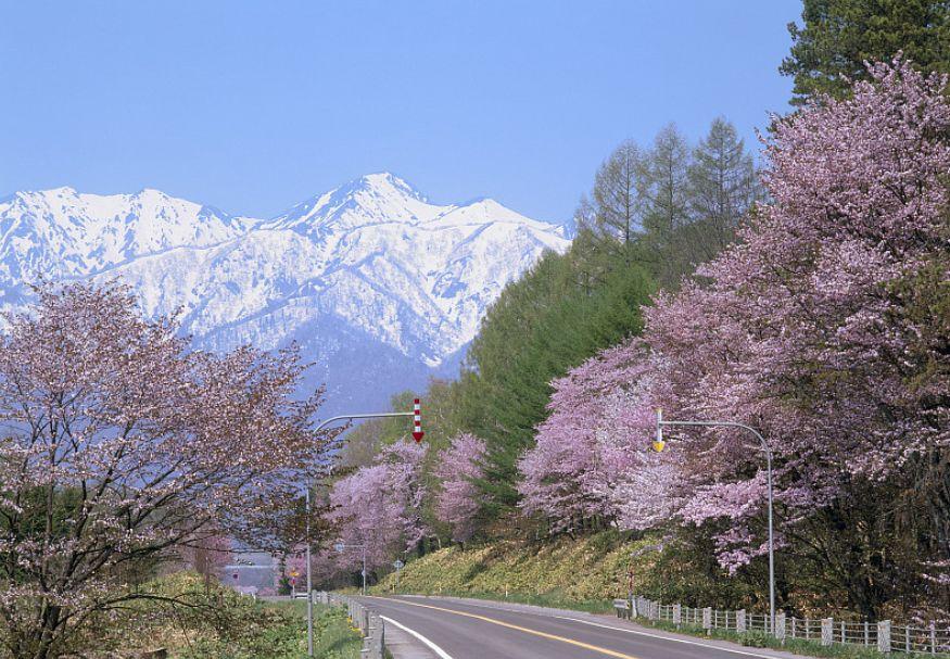 日本多次簽證常見問題解答:必須三個月內(nèi)使用嗎?回國后要銷簽嗎?