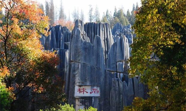 石林:天然氧吧,四季如春,養(yǎng)生旅游勝地