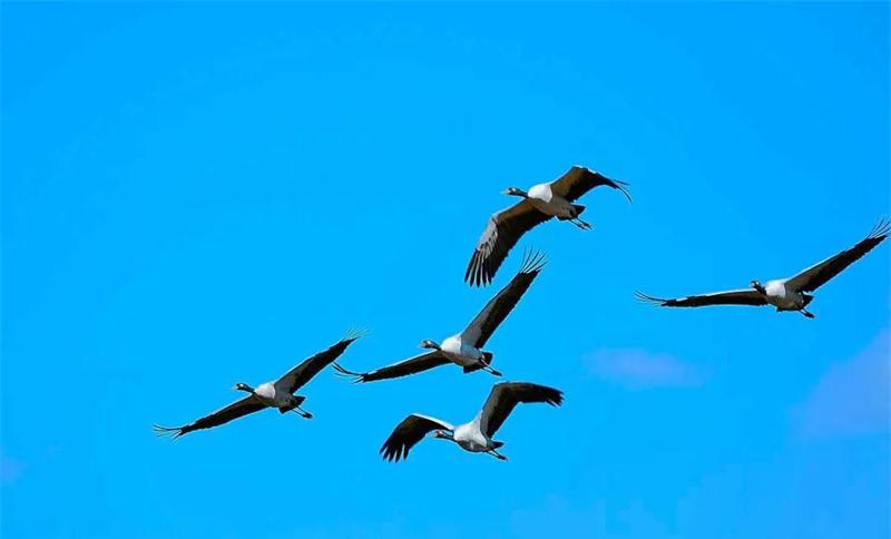 云南還有更多隱藏的仙境