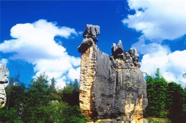 石林里的紅顏美人