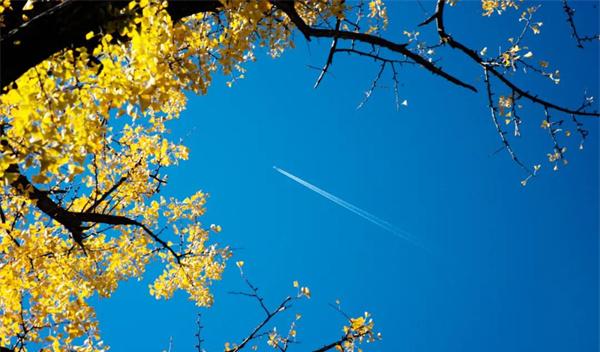 看一眼就心動！小伙伴熟悉的“云南藍”又回來了