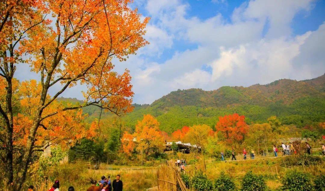 自駕線游寧國川藏線路線圖_寧國川藏線自駕游_寧國市川藏線自駕游