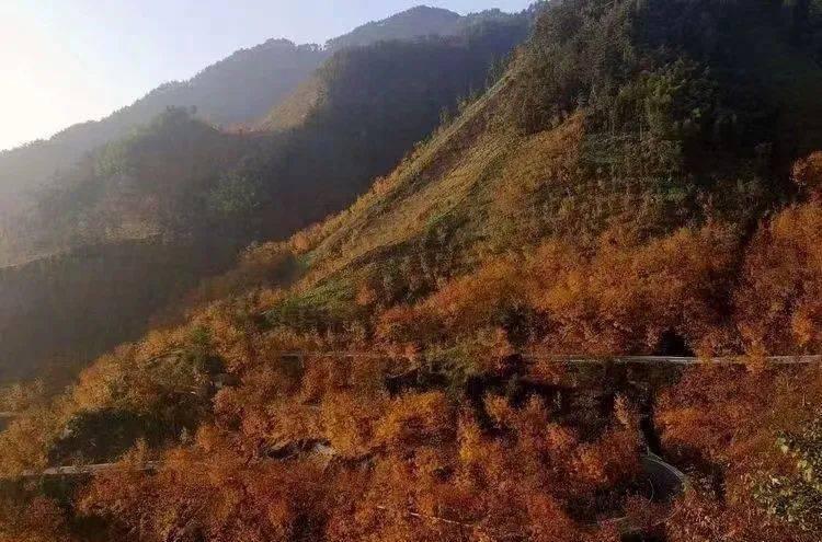 寧國川藏線沿途風(fēng)景_寧國市川藏線自駕游_寧國川藏線自駕游