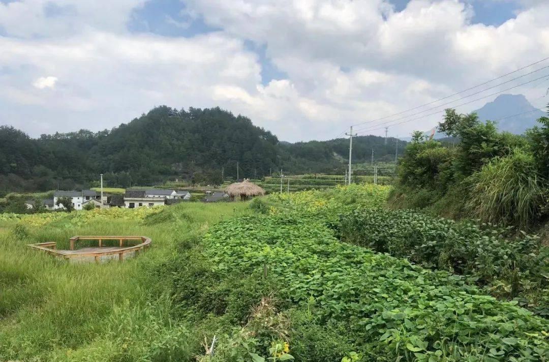 寧國川藏線自駕游_寧國川藏線沿途風(fēng)景_寧國市川藏線自駕游