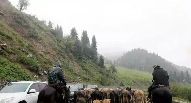 獨(dú)山旅游攻略_獨(dú)山徒步_獨(dú)山子自駕游