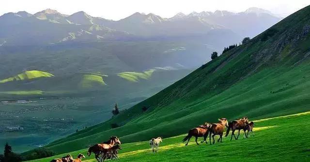 獨山子自駕游_自駕子游獨山路線圖_獨山一日游