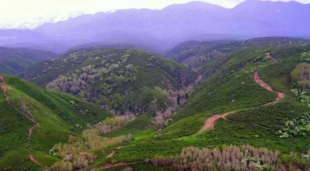 自駕子游獨山路線圖_獨山一日游_獨山子自駕游