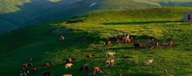 獨山一日游_獨山子自駕游_自駕子游獨山路線圖