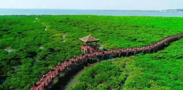 朱家尖:漁歌悠揚處,詩意與純凈的完美融合