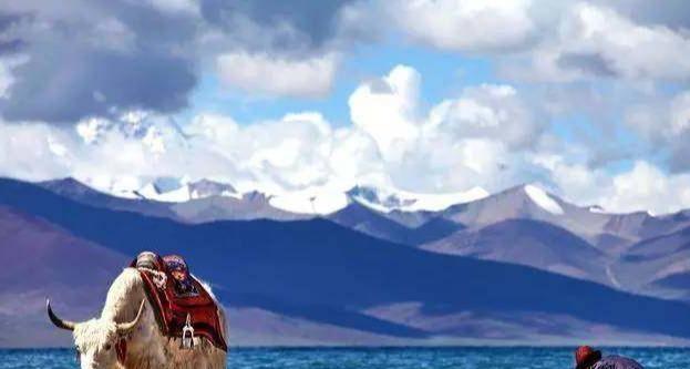 國內自駕游經典路線圖推薦 熱門的27條有機會要去試試