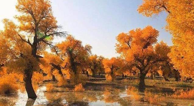 國內自駕游經典路線圖推薦 熱門的27條有機會要去試試