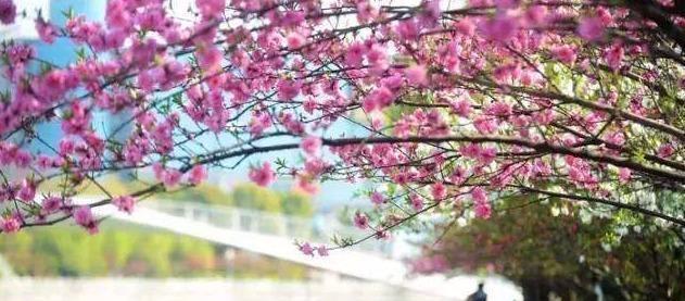 國內自駕游經典路線圖推薦 熱門的27條有機會要去試試