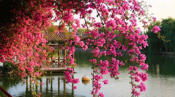 12月份哪里旅游_哈爾濱適合幾月份旅游_甘肅青海適合幾月份旅游