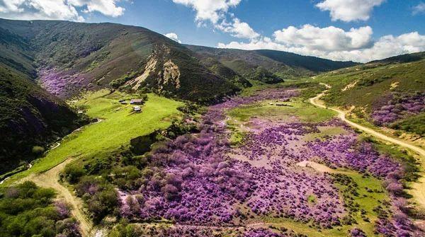 12月份哪里旅游_甘肅青海適合幾月份旅游_哈爾濱適合幾月份旅游