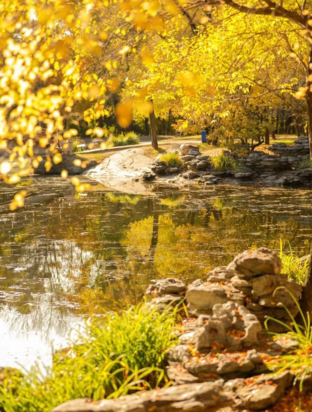 哈爾濱至莫斯科火車票_哈爾濱至莫斯科火車_哈爾濱到莫斯科的火車