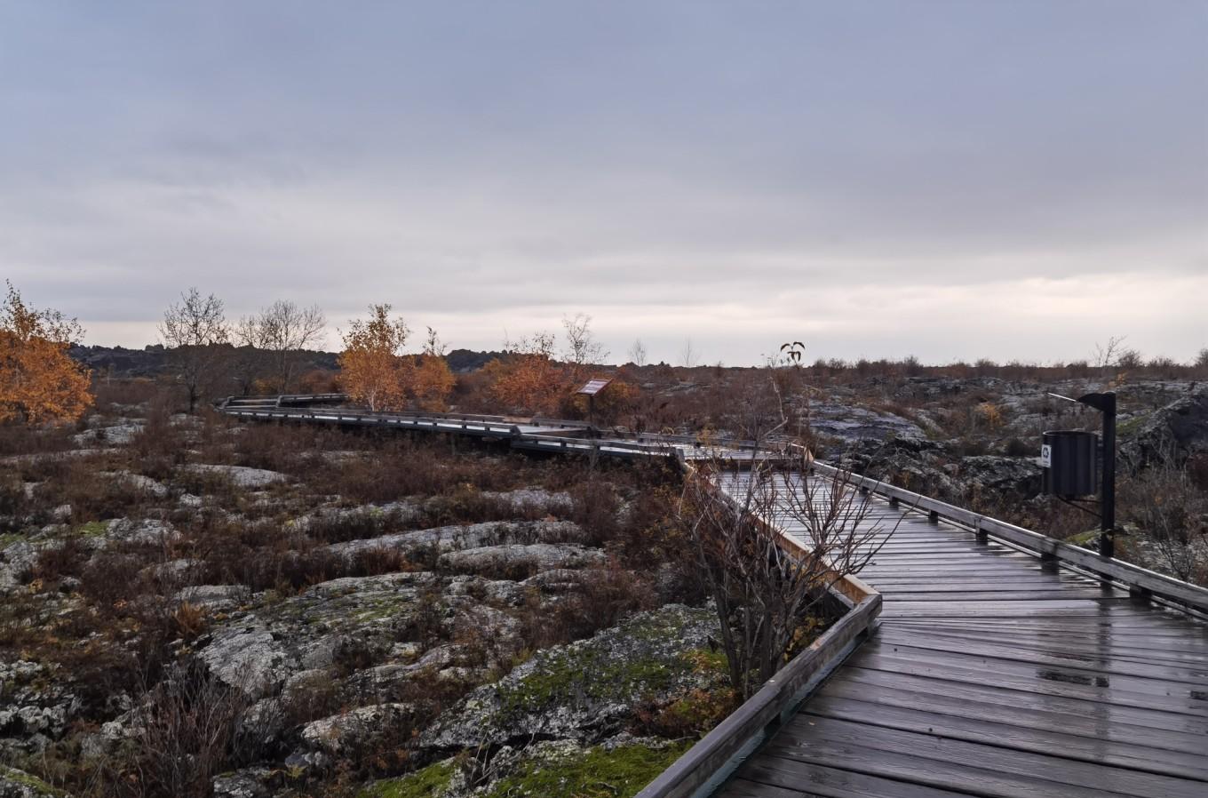 五大連池旅游_大連池在哪里_五一五大連池旅游攻略