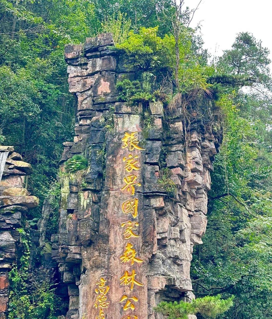 張家界景點旅游景匿_張家界的旅游景點_張家界景點旅游門票