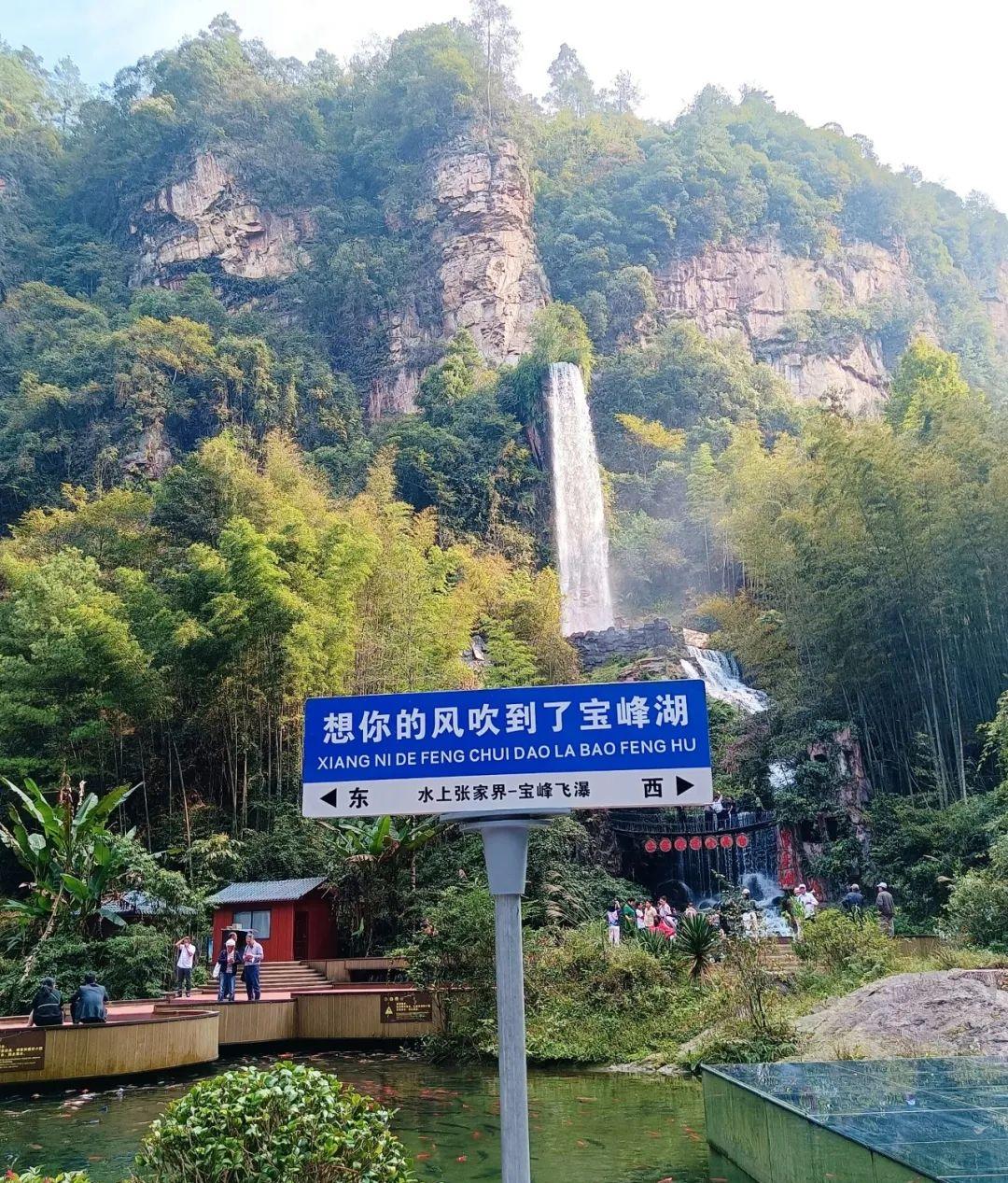 張家界景點旅游景匿_張家界的旅游景點_張家界景點旅游門票