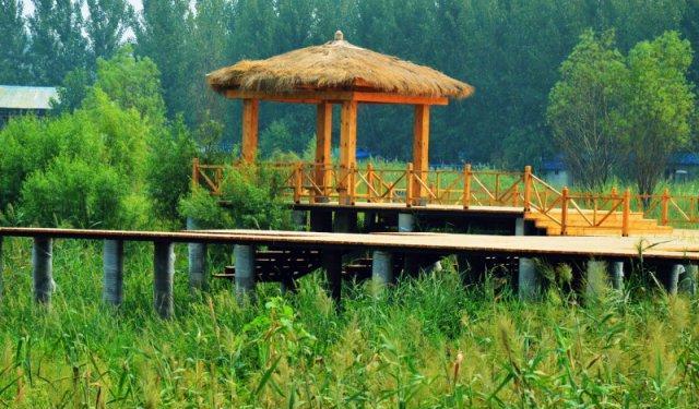 自駕游帳篷一般搭在哪_帳篷自駕搭游圖片_自駕游在哪搭帳篷