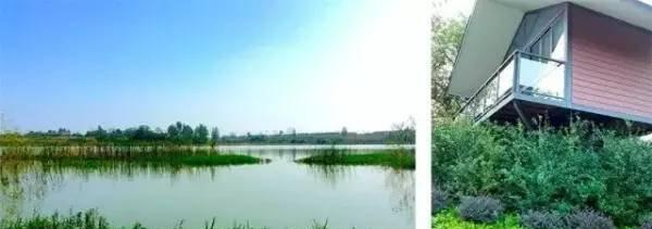 帳篷自駕搭游圖片_自駕游在哪搭帳篷_自駕游帳篷一般搭在哪