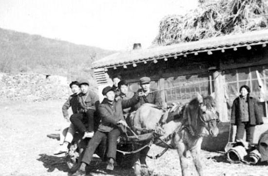 哈爾濱火車站列車到站時(shí)刻表_哈爾濱至火車票_趙光到哈爾濱的火車