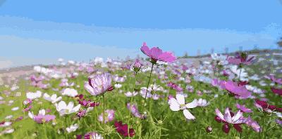 2020 下半年旅行時間表出爐，每月都有耍事，趕緊收藏