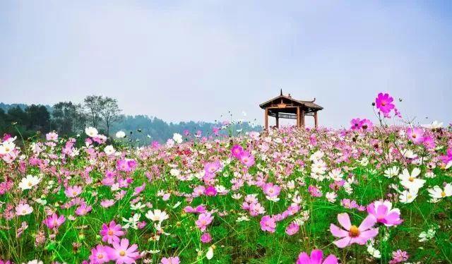 萬州到三峽大壩二日游_萬州到小三峽一日游怎么買票_萬州到小三峽旅游攻略