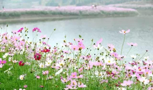 萬州到小三峽一日游怎么買票_萬州到三峽大壩二日游_萬州到小三峽旅游攻略