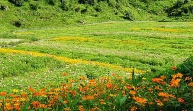 萬州到小三峽旅游攻略_萬州到三峽大壩二日游_萬州到小三峽一日游怎么買票