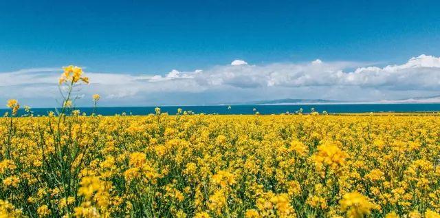 端午節旅游去哪里好_端午節旅游去處_端午節去哪里旅游好