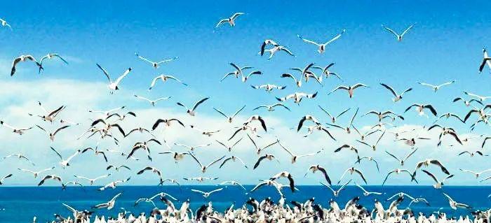 西寧到拉薩火車路線_拉薩火車西寧路線到哪個站_拉薩到西寧火車查詢