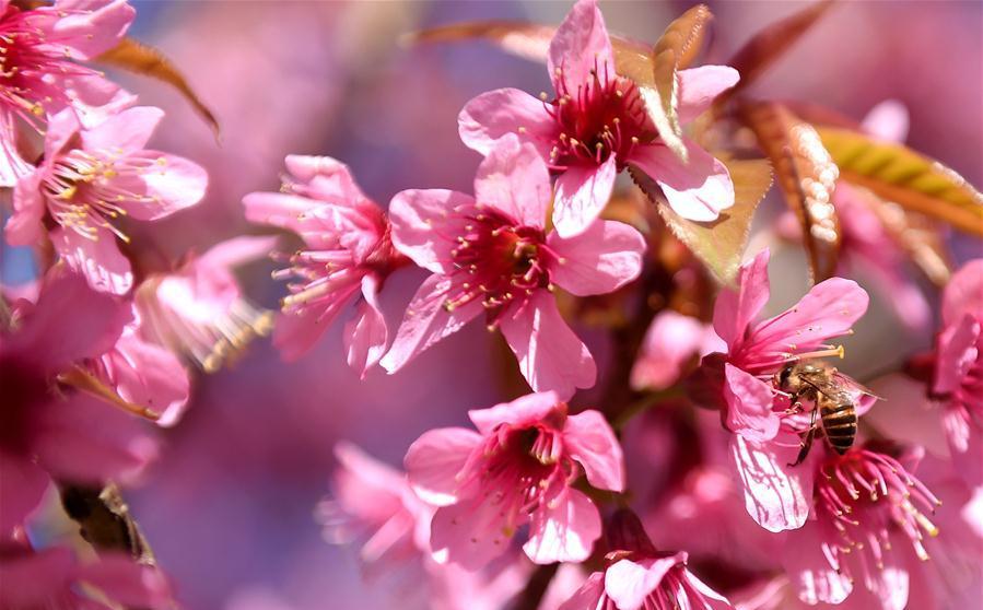 昆明站火車站_昆明站火車時刻表查詢_昆明站和昆明火車站