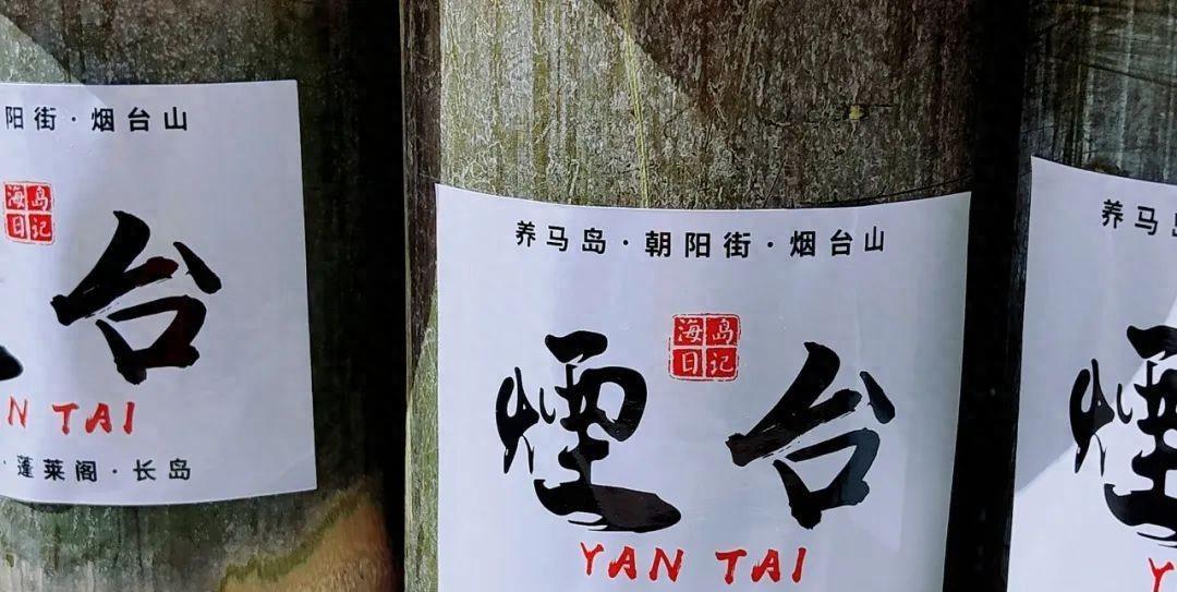 濟南出發煙臺三天精華游攻略,漁人碼頭鯨鯊館等你來打卡