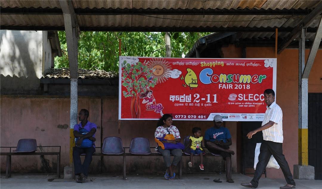 斯里蘭卡最美的風景:坐著海上小火車去旅行宛若置身童話世界