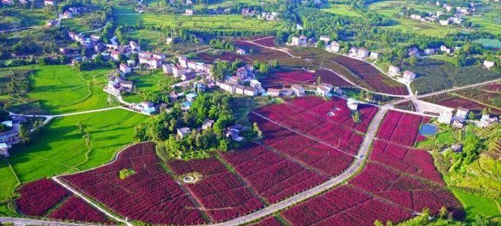 田園旅游景點_田園旅游的唯美句子_田園旅游