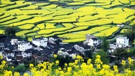 田園旅游的唯美句子_田園旅游景點_田園旅游