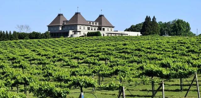 田園旅游_田園旅游景點(diǎn)_田園旅游景點(diǎn)有哪些