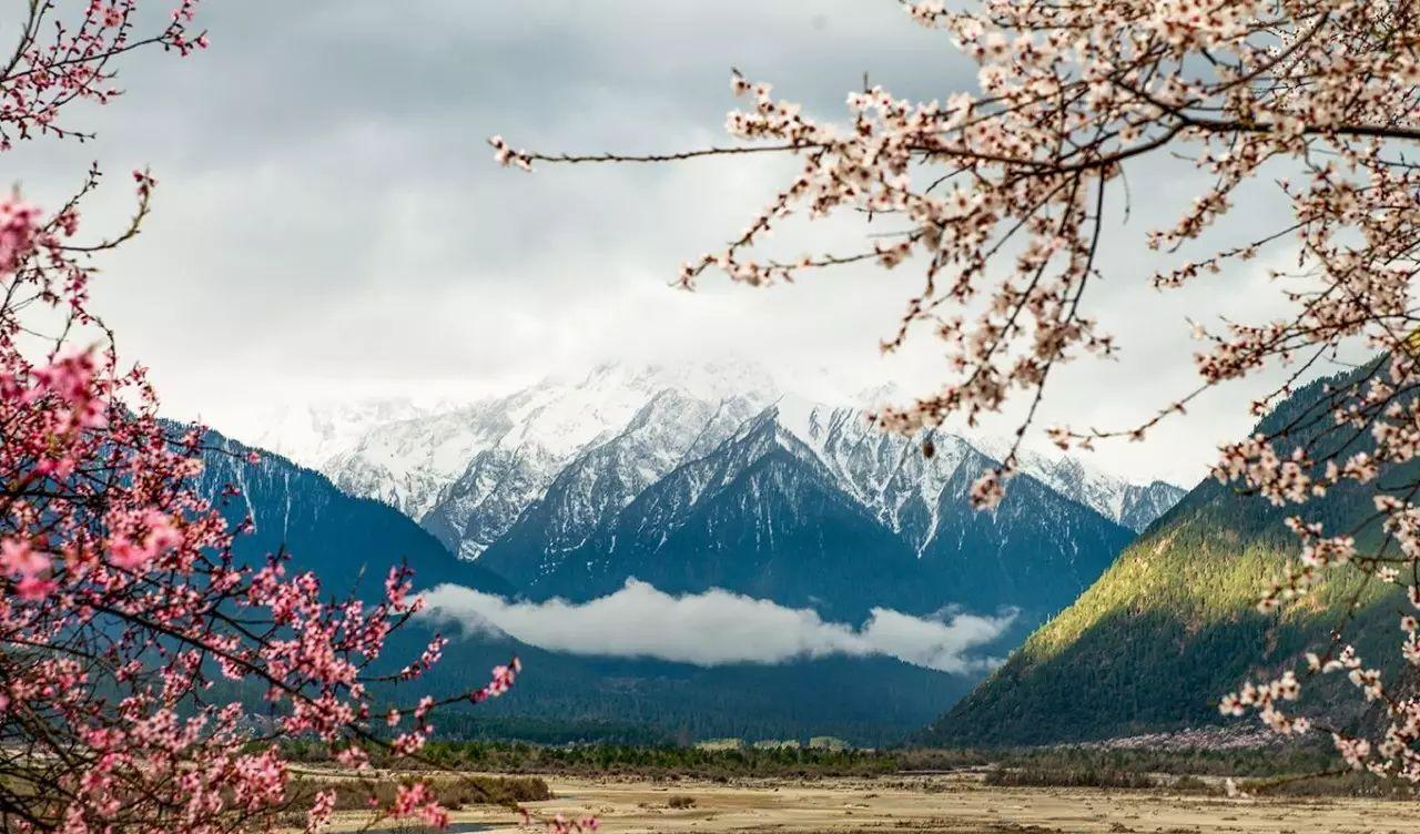 拉薩到西寧火車時刻_西寧到拉薩火車路線_拉薩到西寧火車查詢