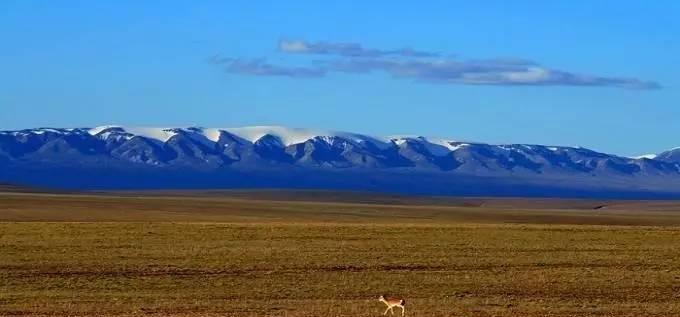 拉薩到西寧火車查詢_西寧到拉薩火車路線_拉薩到西寧火車時刻
