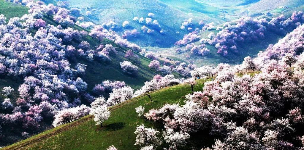 坐火車硬臥能不能充電_火車充電硬臥上可以充電嗎_硬臥火車上可以充電嗎